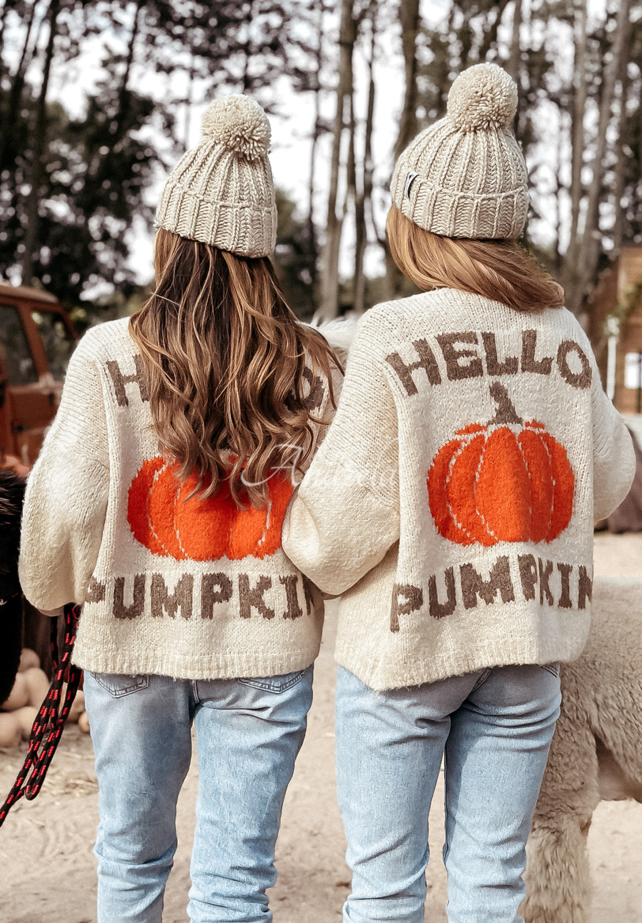 Krótki kardigan z wełną Hello Pumpkin beżowy