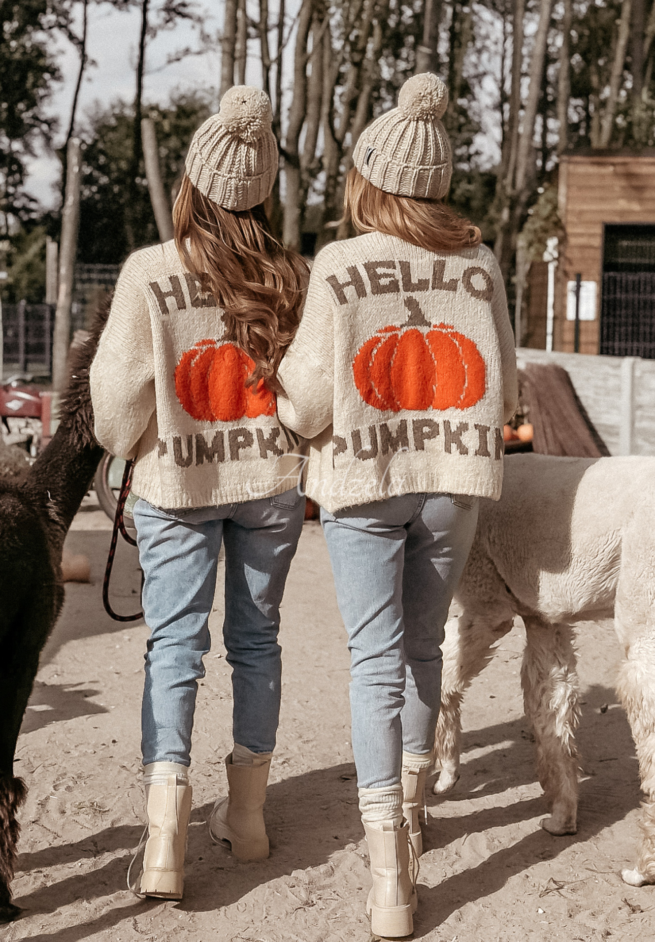 Krótki kardigan z wełną Hello Pumpkin beżowy