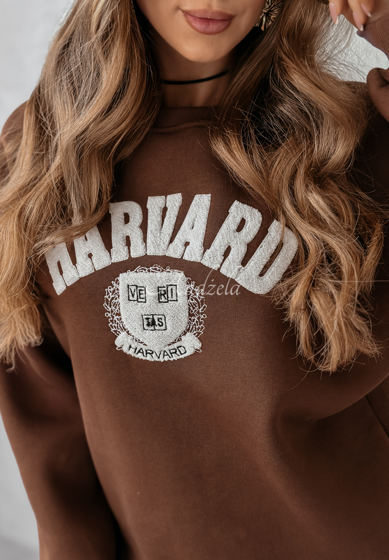 Bluza z napisem Harvard czekoladowa