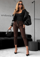 Trousers Harwinton in chocolate