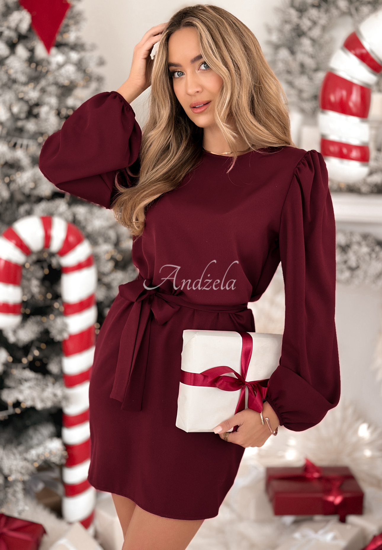 Dress with buffets and belt Crazy About You burgundy
