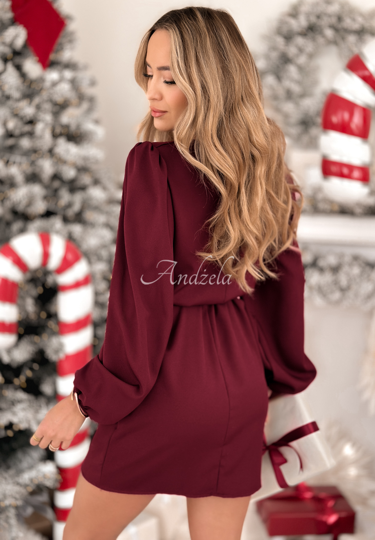 Dress with buffets and belt Crazy About You burgundy