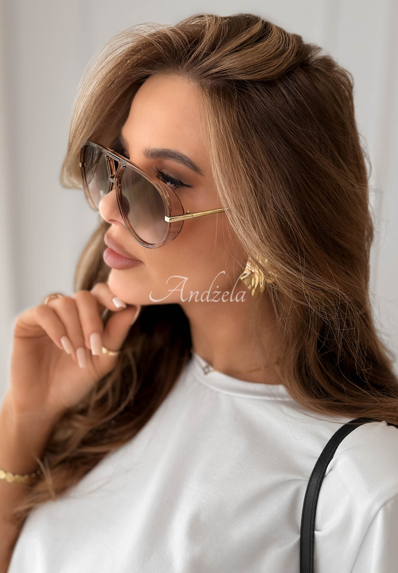 New Chicago brown sunglasses