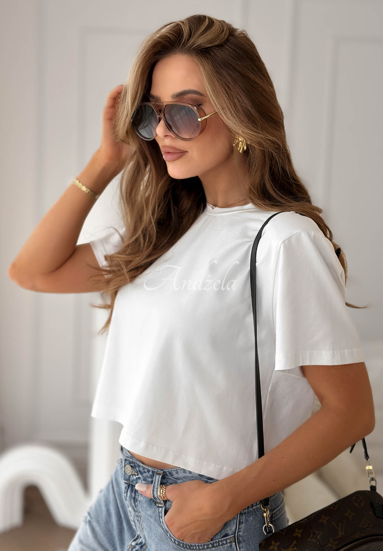 New Chicago brown sunglasses