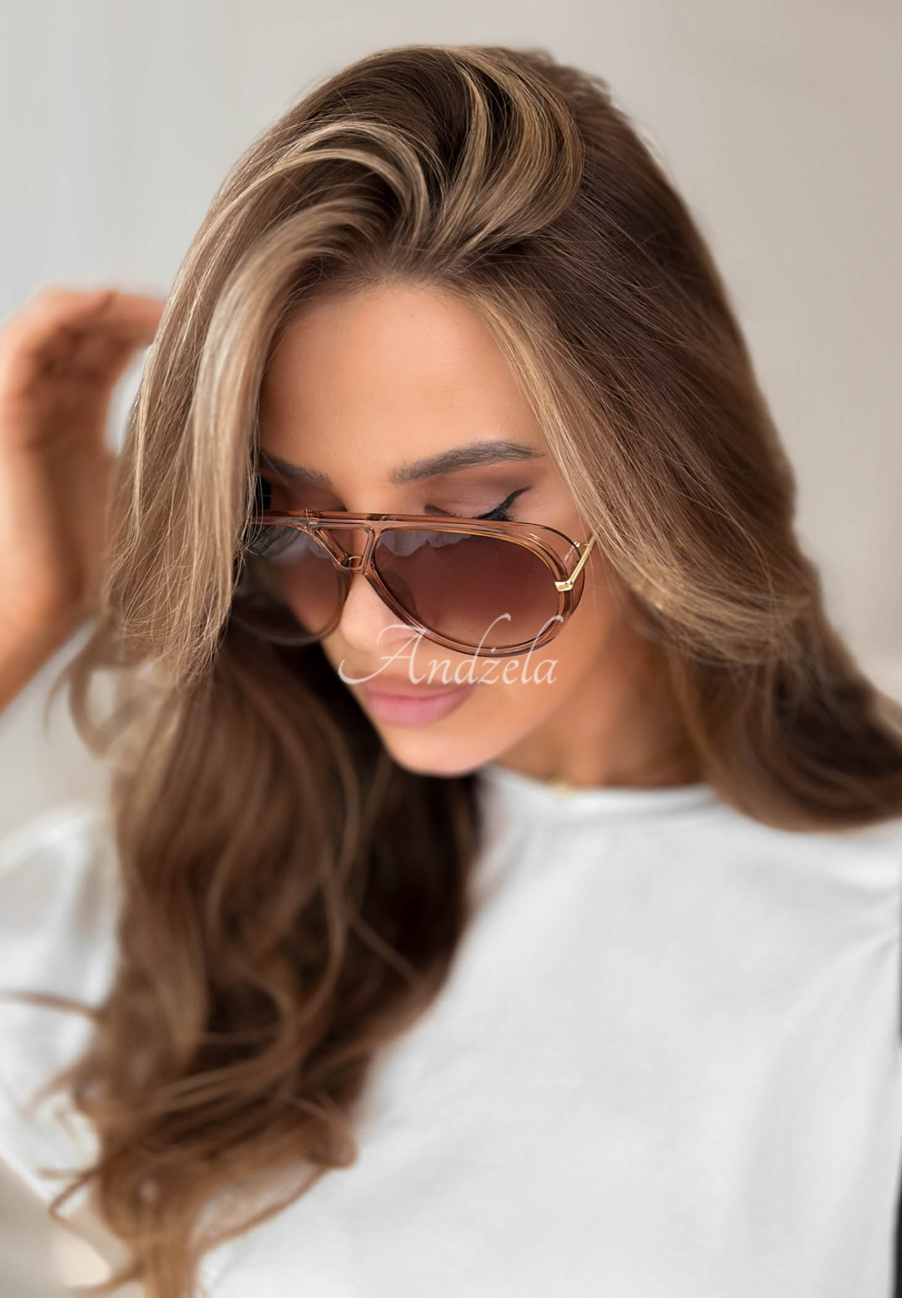 New Chicago brown sunglasses