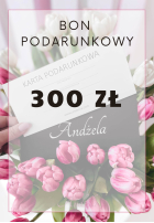 Bon podarunkowy 300