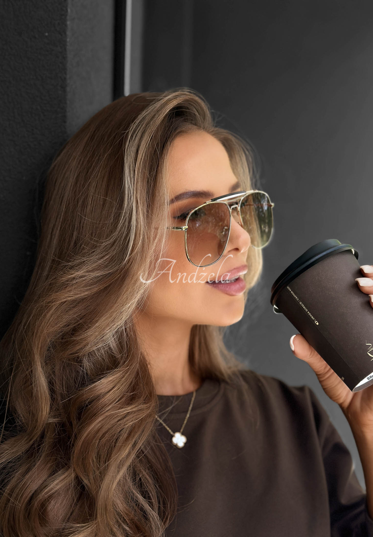 Warm Shade Brown Sunglasses