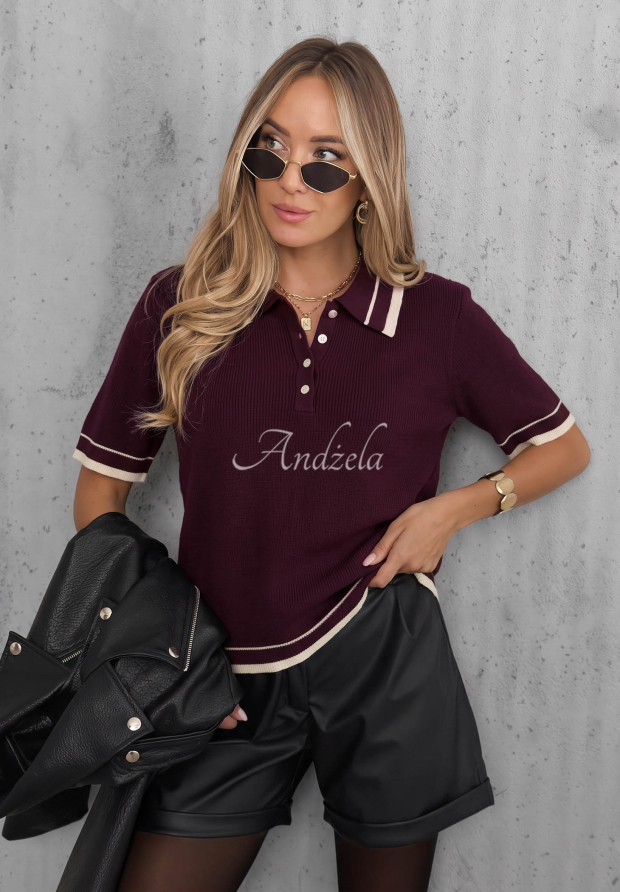 Tea Society Short-Sleeve Viscose Sweater with Collar in Berry