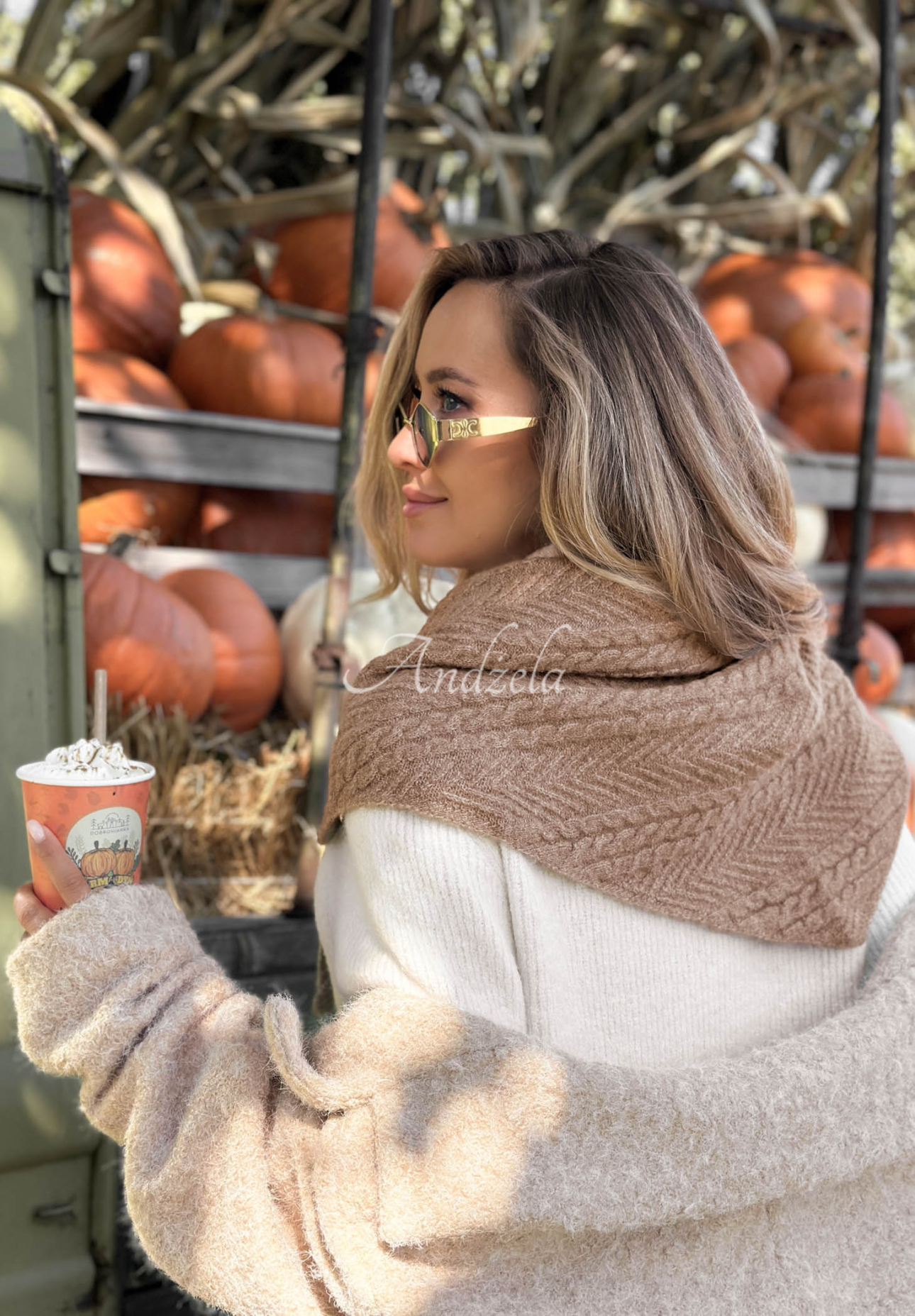 Cloudy Skies Beige Wool-Blend Knitted Scarf