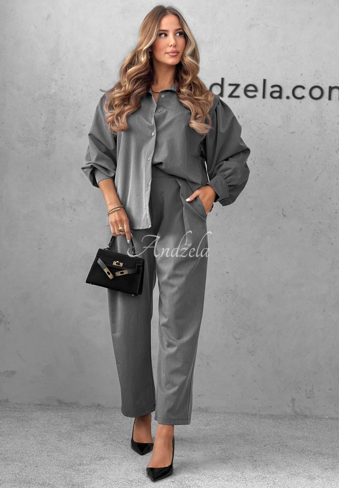 Elegant Modern Femme shirt and pleated pants set in gray
