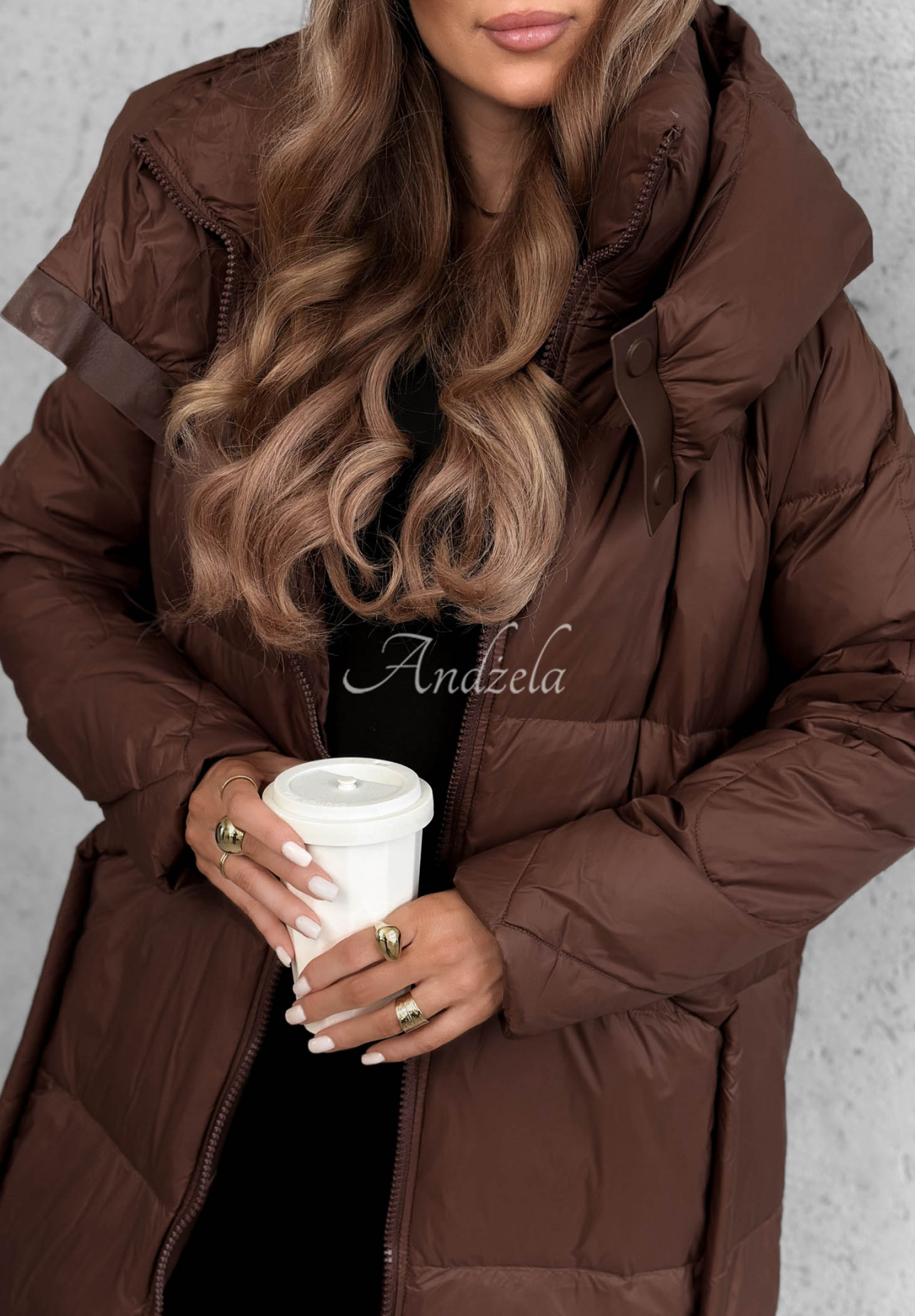 Want Winter Long Hooded Down Jacket in Chocolate Brown