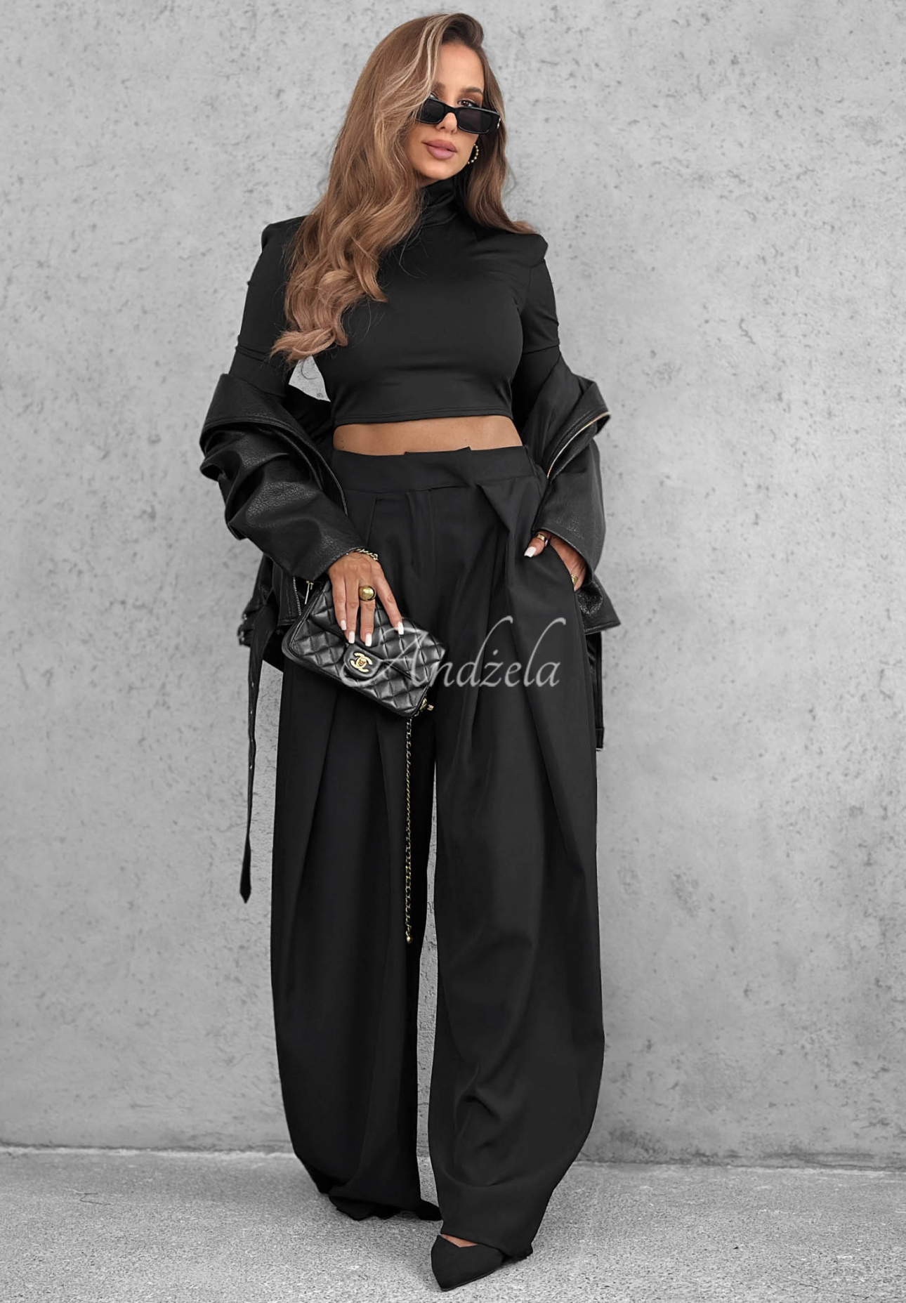 Cloudy Elegance Black Wide-Leg Fabric Pants with Pleats